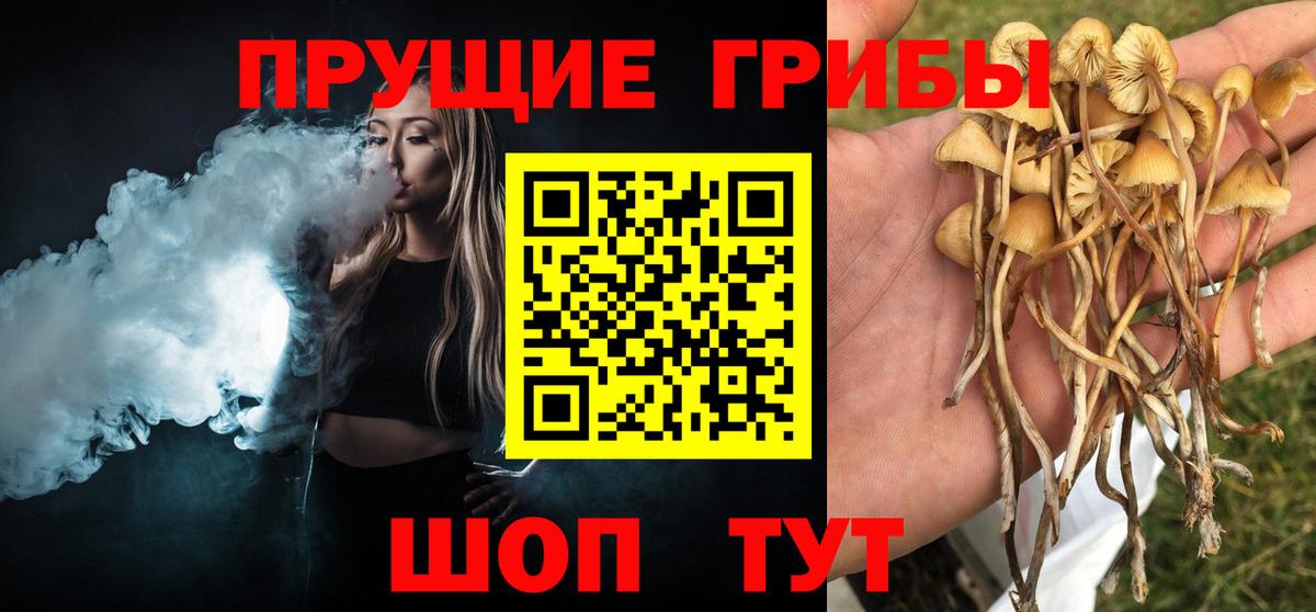 Псилоцибиновые грибы мухоморы  Вход с VPN  Реж 